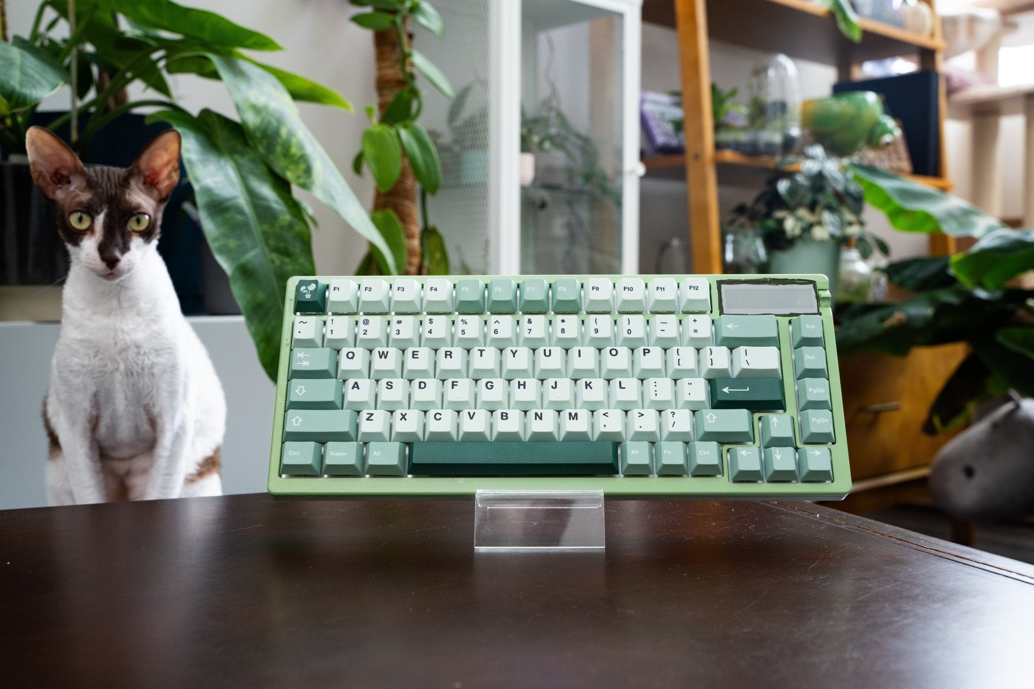 HipyoCaps Jungle Plant Themed Keycap Set
